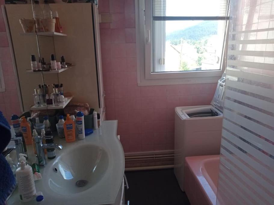 Appartement 83 M2 Renove Remiremont Eksteriør bilde